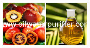 Industrial Olive Oil  Palm oil Separation Decanting Centrifuge With Spiral Solid Discharge OEM
