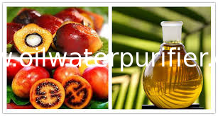 Industrial Olive Oil  Palm oil Separation Decanting Centrifuge With Spiral Solid Discharge OEM